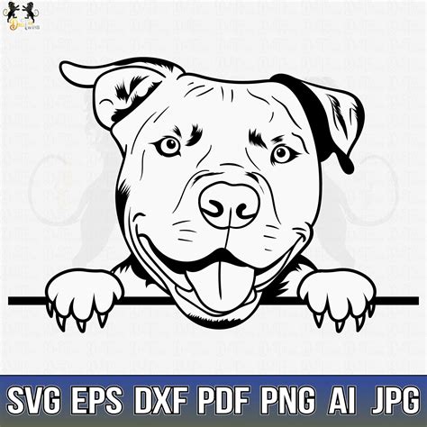 Pitbull Svg Pitbull Clipart Pitbull Svg Files For Cricut Pitbull The | Porn Sex Picture