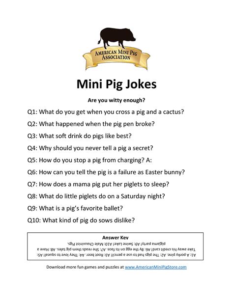 Mini Pig Jokes - American Mini Pig Online Store