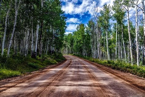 Aspen Sightseeing Adventures: Top 8 Biking and Hiking Trails