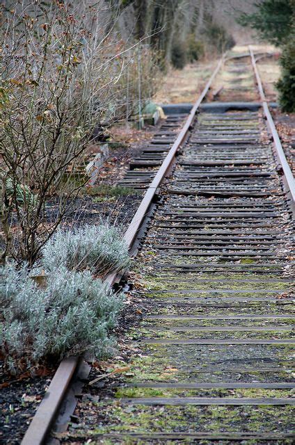 Abandoned Railroad Tracks in Lambertville, NJ