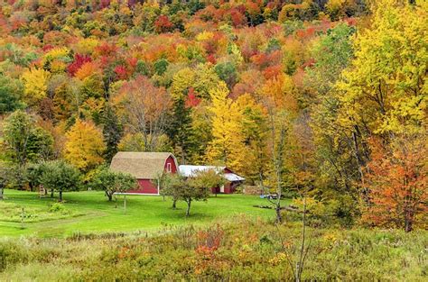 Your Vermont Fall Foliage Headquarters