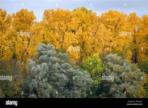 Fall colors in October Stock Photo - Alamy