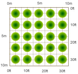 Fruit tree spacing and planting distances