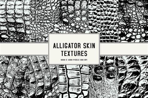 Alligator Skin Textures - Creative Finest