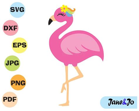 Flamingo SVG Flamingo Clip art Pink Flamingo Vector Cute | Etsy