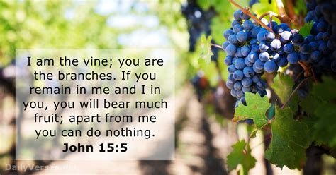 John 15:5 - Bible verse - DailyVerses.net