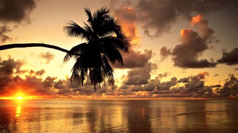 🔥 [45+] Tropical Sunsets Wallpapers | WallpaperSafari