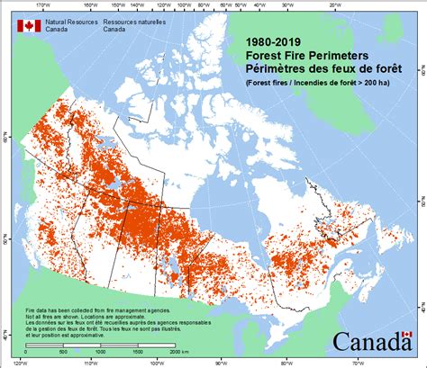 Forest Fire Canada 2024 - Maria Scarlet