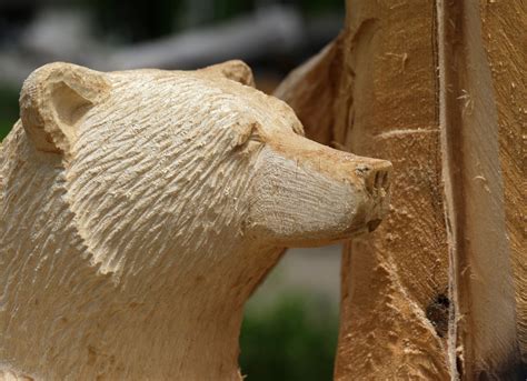 Portrait of a chainsaw-wielding artist: Carving out a living making bear sculptures | CTV News