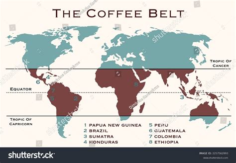 Area World Known Coffee Belt Which Stock Illustration 2257562993 | Shutterstock