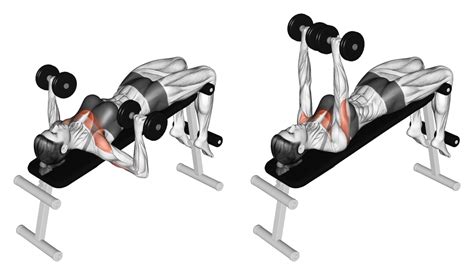 7 Best Dumbbell Bench Press Variations (With Pictures) - Inspire US