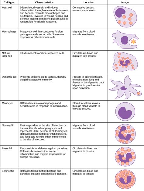 23.1. Innate Immune Response – Concepts of Biology-1st Canadian Edition