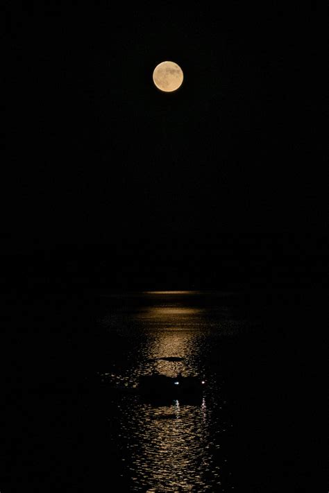 Brilliant Harvest Moon, the last supermoon of 2023, wows stargazers around the world (photos ...