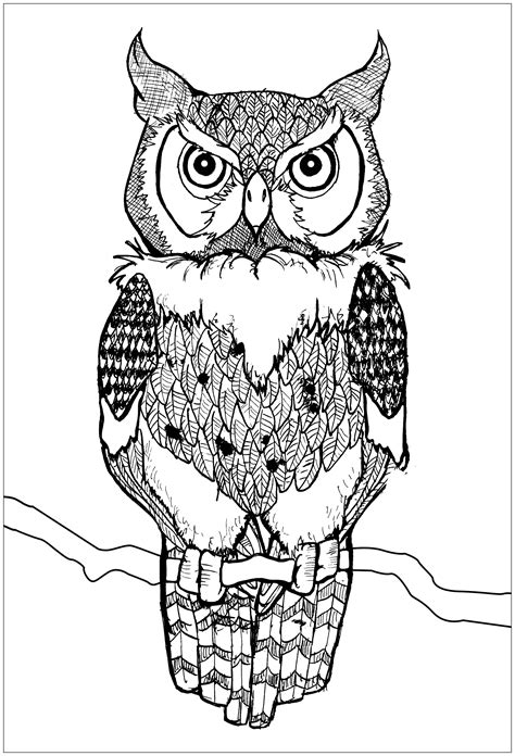 42 best ideas for coloring | Owl Pages To Color