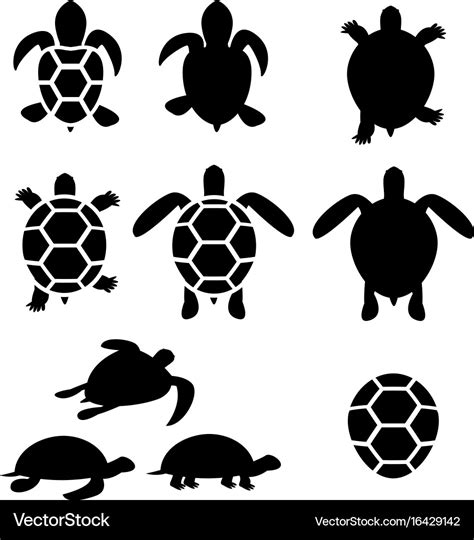 Set of turtle and tortoise silhouette Royalty Free Vector