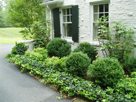 Landscaping Boxwood Shrubs — Randolph Indoor and Outdoor Design