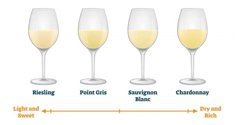 Discover the Different Types of White Wine - Beer & Wine Guide