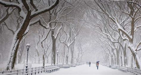 Central Park Winter Wallpaper - WallpaperSafari