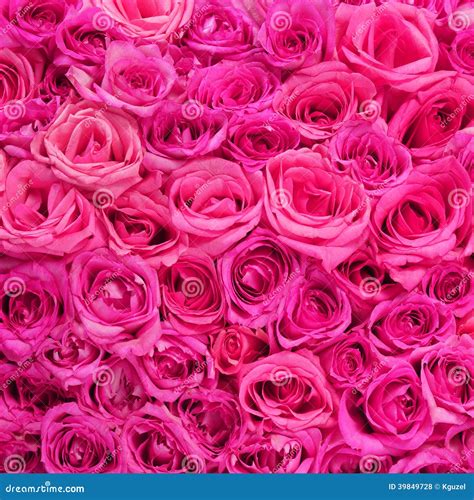 Hot Pink Flower Background | Wallpapers Gallery