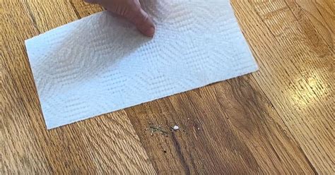 How to Keep Your Floors Sparkling: Must-Try Floor Cleaning Hacks | Hometalk