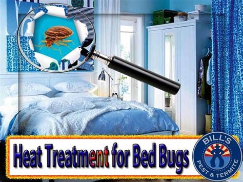 Bed Bug Heat Treatment Or Chemical Treatment?