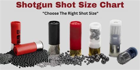 12 Gauge Shotgun Shells Types Chart