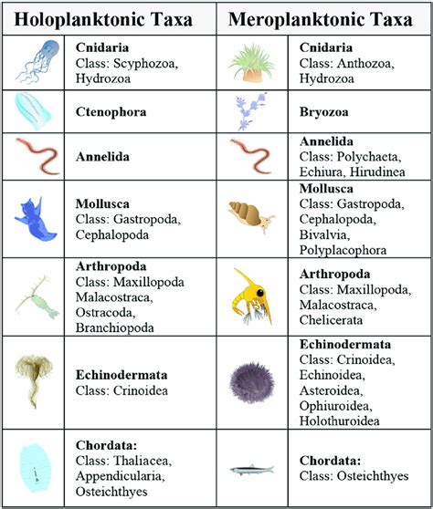 Zooplankton Taxonomy