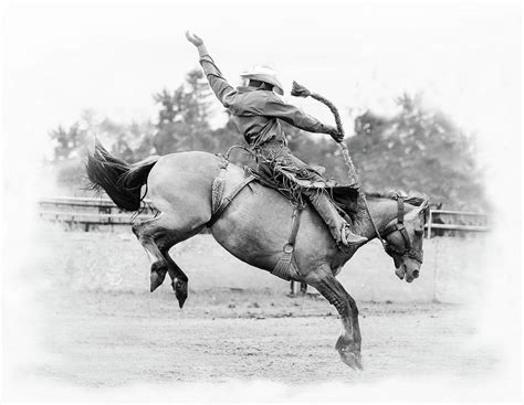 Bronc Riding Photograph by Athena Mckinzie - Pixels