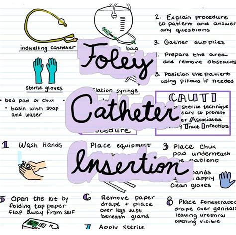 Foley Catheter Insertion - Etsy | Nursing study guide, Nurse study notes, Nursing school notes