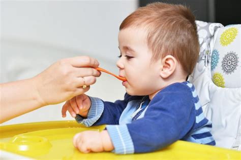 New Study Says 95% of Tested Baby Foods in the US Contain Toxic Metals Kids Activities Blog