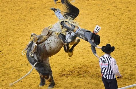 1000+ images about Saddle Bronc Riding/Ranch Bronc Riding on Pinterest