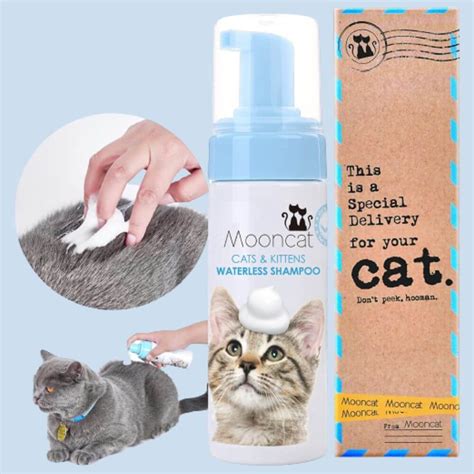 Pawfectly Clean: The Best Flea Shampoo for Kittens