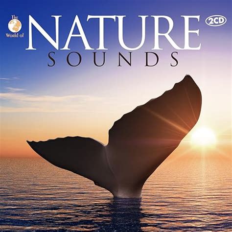 Nature Sounds: Amazon.co.uk: Music