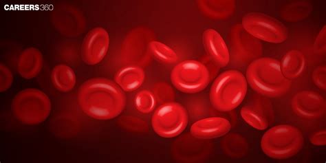 Hemophilia: Overview, Meaning, Causes, types, symptoms, treatment