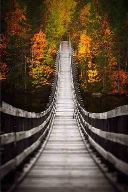 Brilliant Examples of Bridge Photography