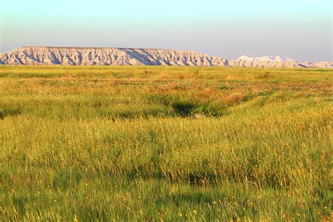 Characteristics of Grassland Biomes | Sciencing