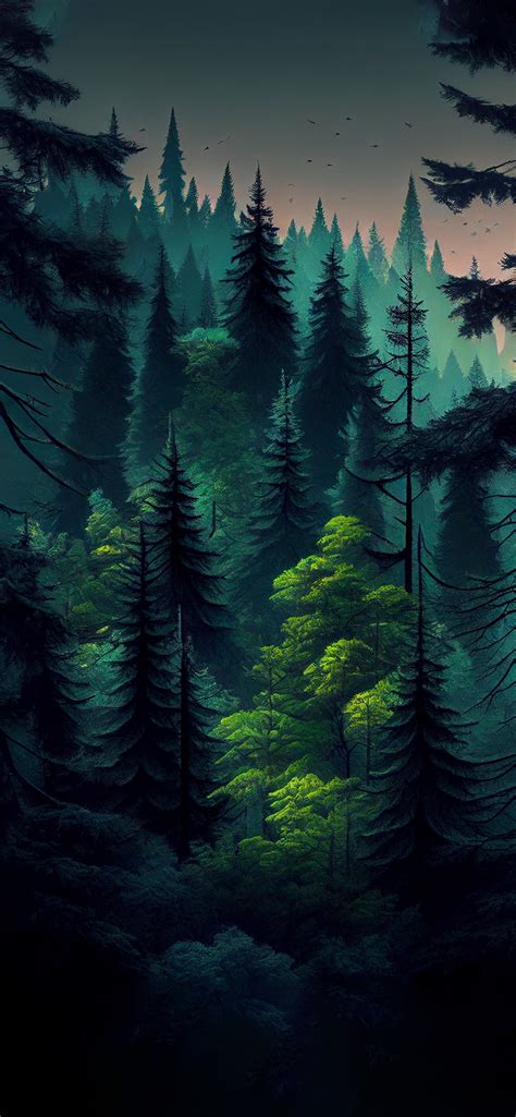 Coniferous Green Forest Wallpapers - Forest Aesthetic Wallpapers