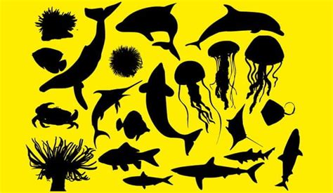 Ocean Animals Silhouettes ai vector | UIDownload