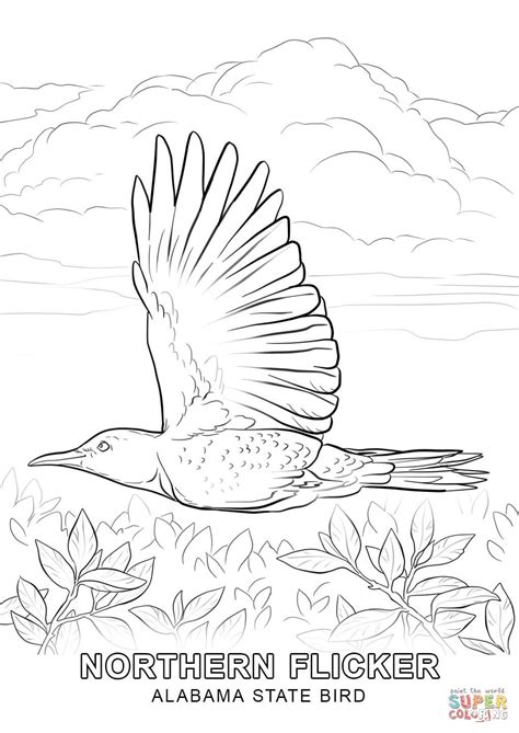 Alabama State Bird coloring page | Free Printable Coloring Pages