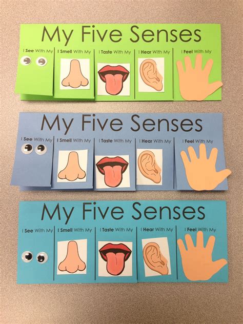 Five Senses Craft - flip book visit www.letsgetreadyforkindergarten.com ...