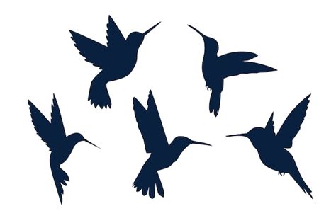 Free Vector | Hand drawn hummingbird silhouette