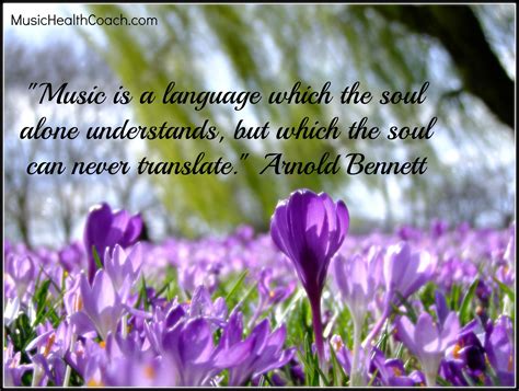 Music is a language which the soul alone understands, but which the ...