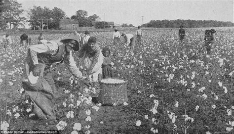 Cotton Plantations Slavery