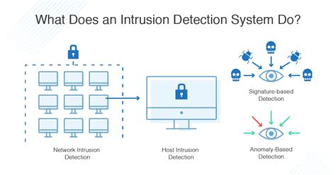 Intrusion prevention system ips - lynxlasopa