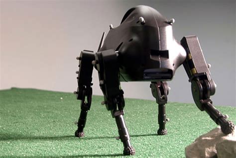 Littledog: The Robot Dog That Can Cross Many Obstacles Without Difficulty (Video)