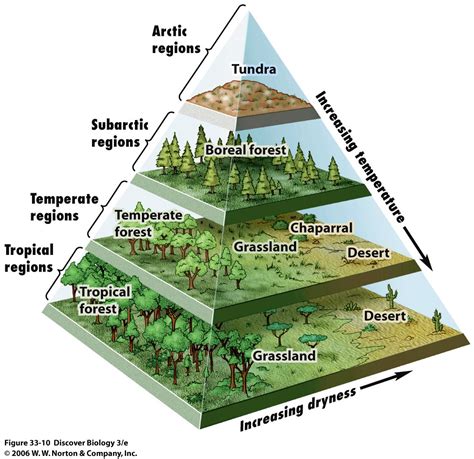 Biome Examples