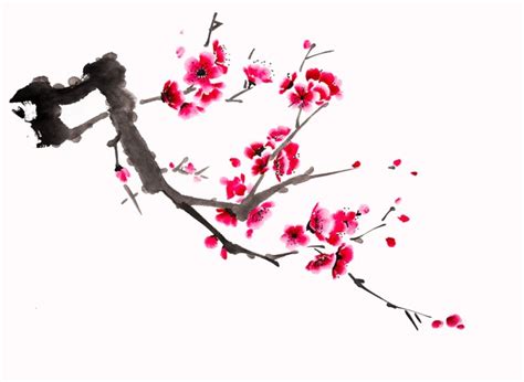 6,544 Chinese Ink Cherry Blossom Royalty-Free Photos and Stock Images ...