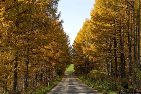 Why This Island In Japan Is The Best Place To See The Leaves Change | HuffPost Life