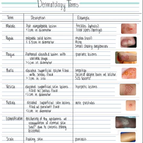 Dermatology Skin Conditions 2 Pages Printable Pdf Immediate Download - Etsy | Dermatology ...