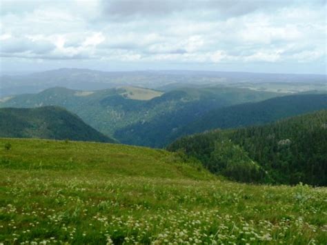 5 Tips for Hiking in the Black Forest, Germany